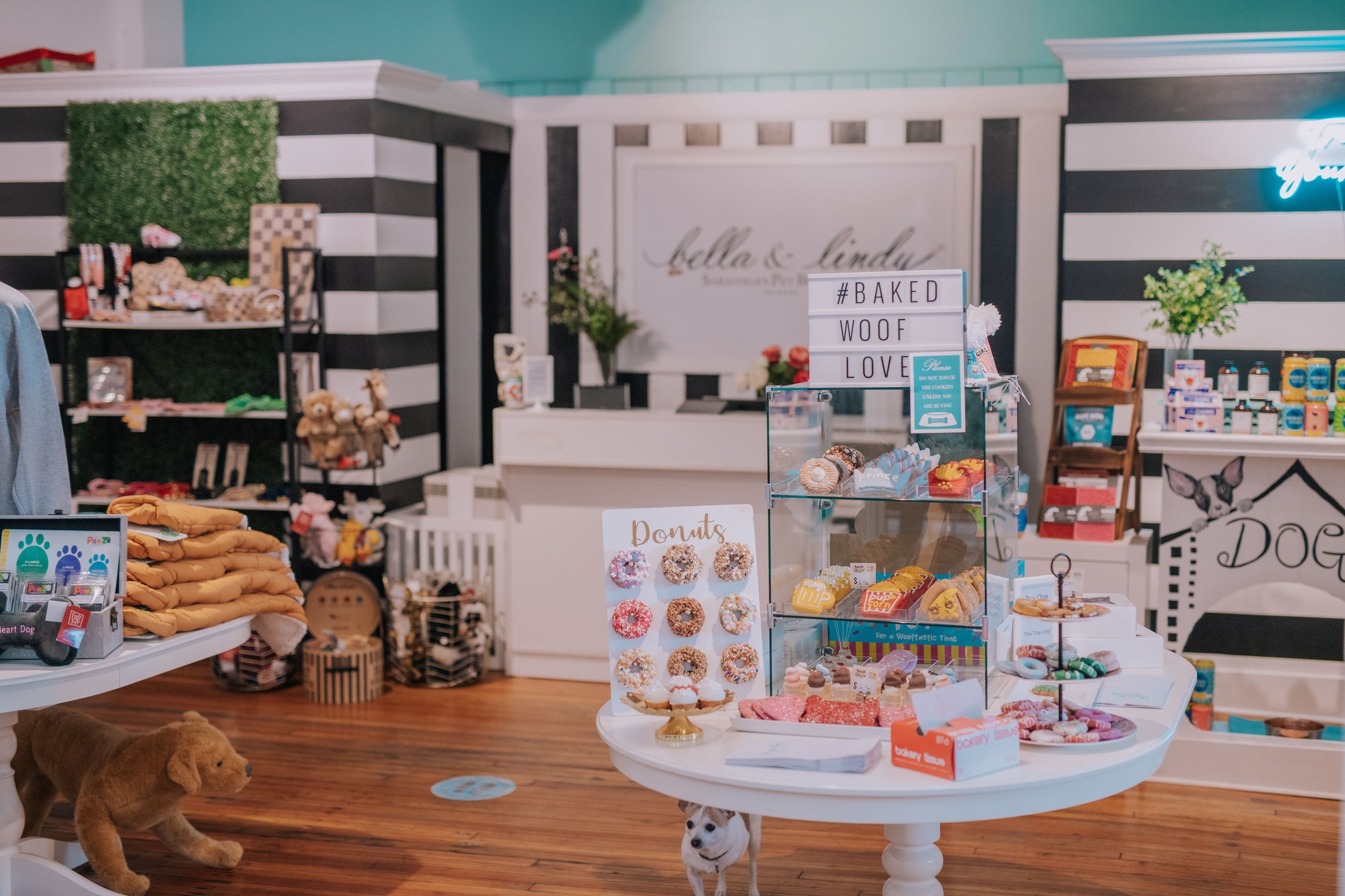 Dog pet boutique hot sale